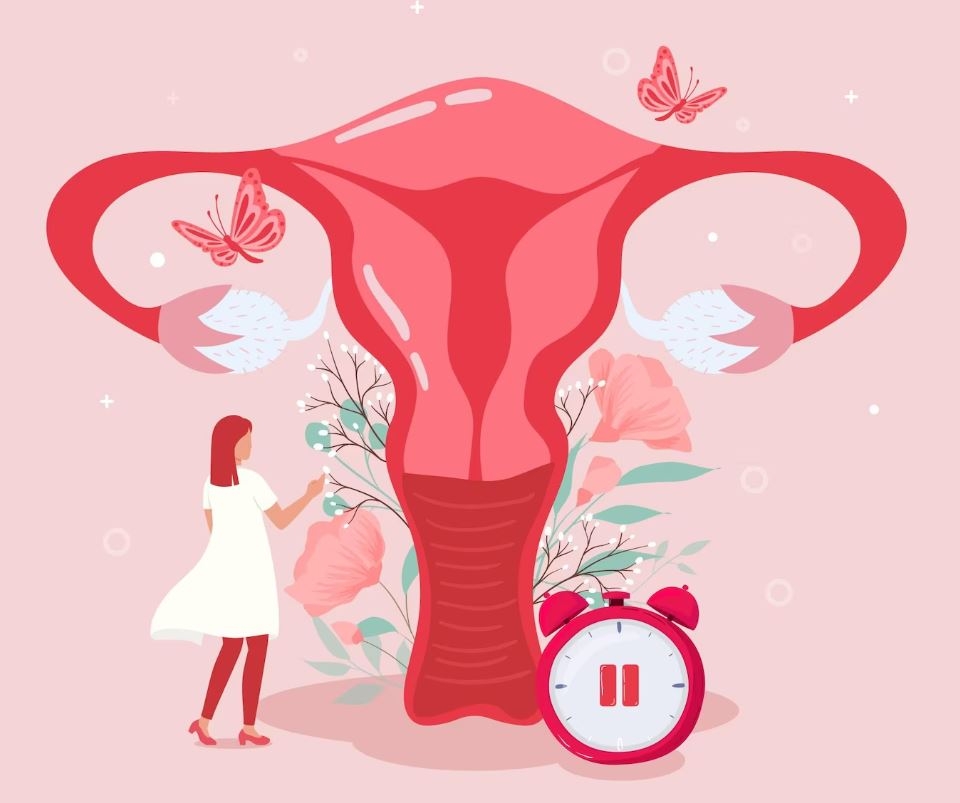 Adana Kızlık Zarı Dikimi Fiyatları 2023